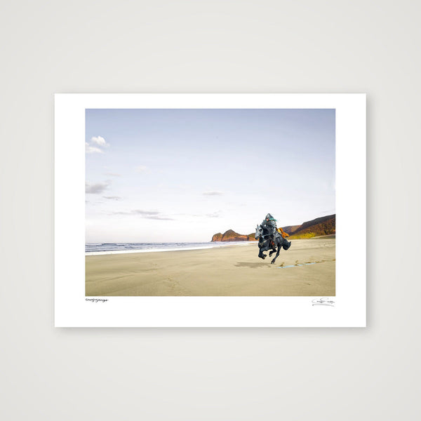 Elfin Knight — 80×60cm, 31×24" Print only