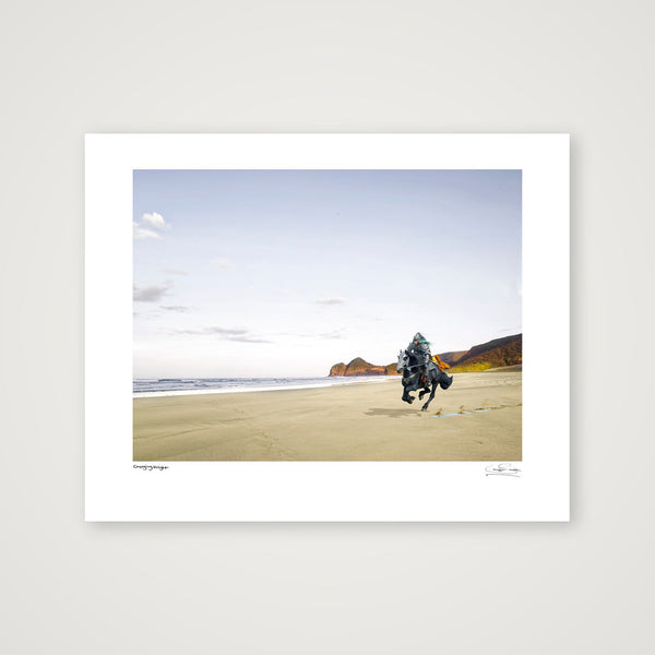 Elfin Knight — 35×28cm, 14×11" Print only