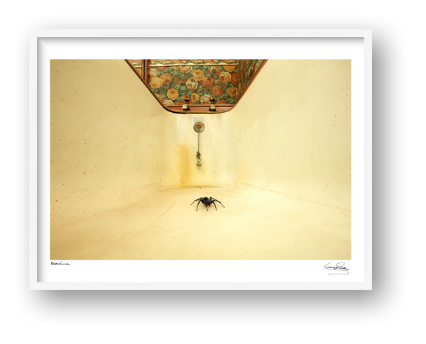 Bathtime — framed