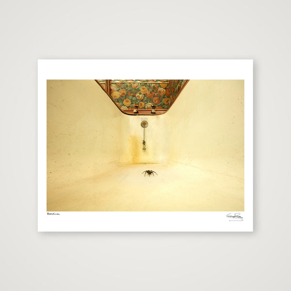 Bathtime — 50×40cm, 20×16" Print only