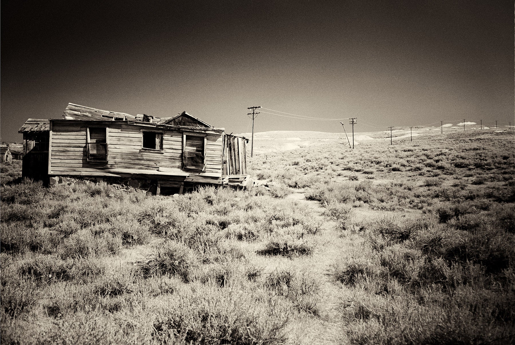 Bodie No.7