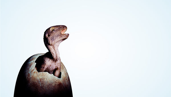 Dinosaur Hatching