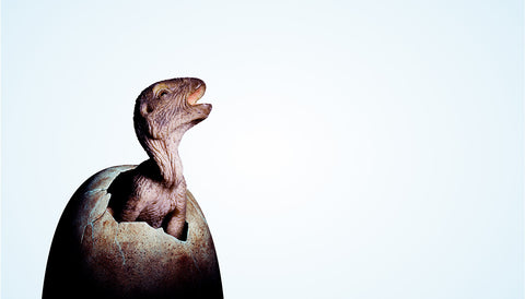 Dinosaur Hatching