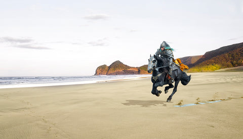 Elfin Knight For Slideshow