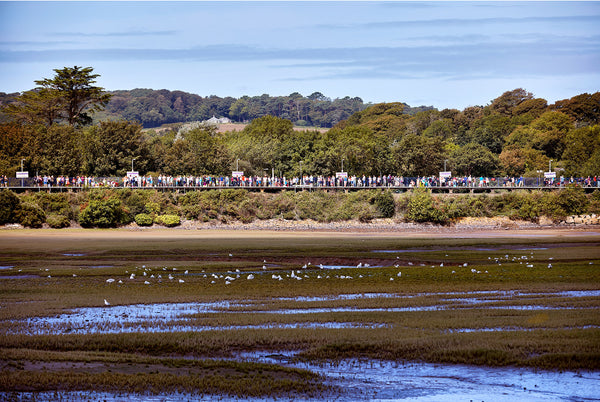 Lelant Saltings, Cornwall