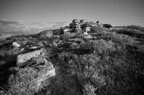 Trevalgan Stones, Cornwall