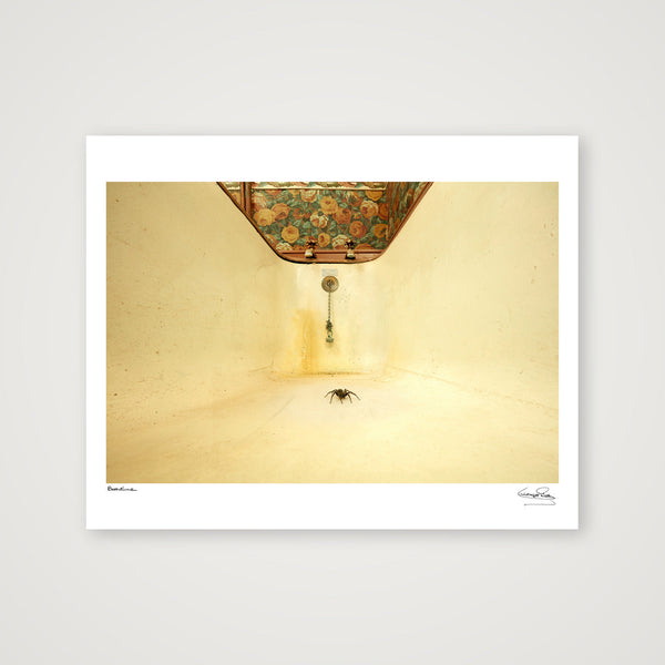 Bathtime — 35×28cm, 14×11" Print only